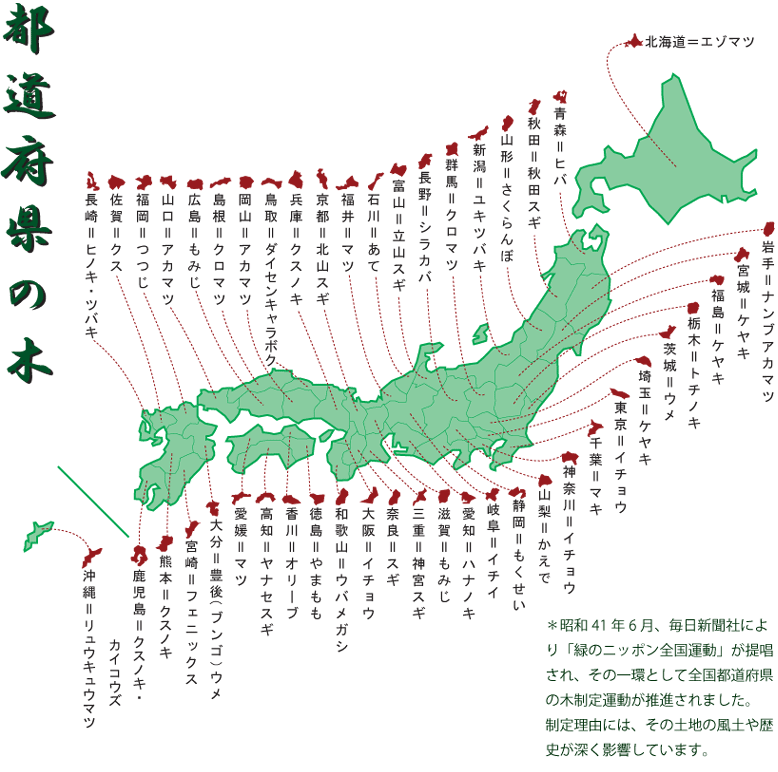 都道府県の木