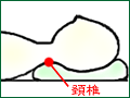 頚椎のカーブを支える！