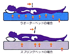 ウォーターベッドイメージ