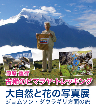 古希のヒマラヤ･トレッキング 〜大自然と花の写真展 -八王子本店-